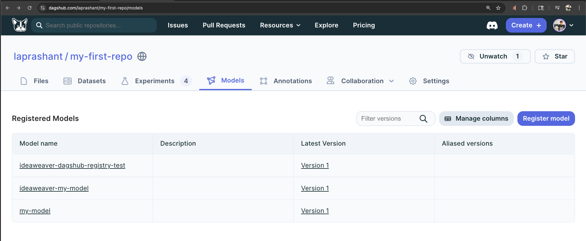 DagsHub Model Registry Screenshot